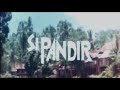 Film Pandir
