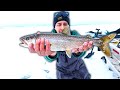 Video Thumbnail for Pan sized lake trout (hit&miss)