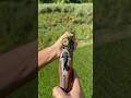 Blaser BBF 95 Review