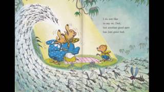 The Berenstain Bears PICNIC Read-Along Book on Cas