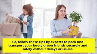 How To Move Houseplants To Your New Home