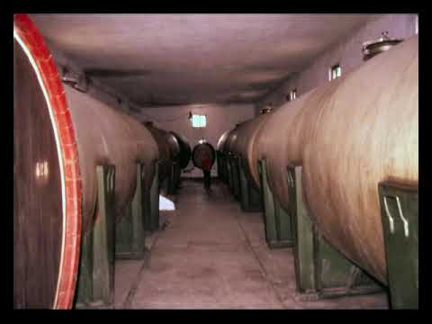 Marienfeld - History of Teremia Mare - Episode 4