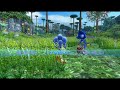 Sonic Colors Ultimate Planet Wisp Act 1 Rival Rush 1080 HD