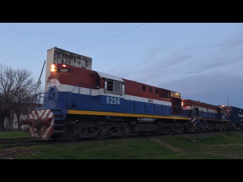 [8K] Tren de NCA con destino a Ferreyra pasando por Marcos Juárez al atardecer!!!!!!