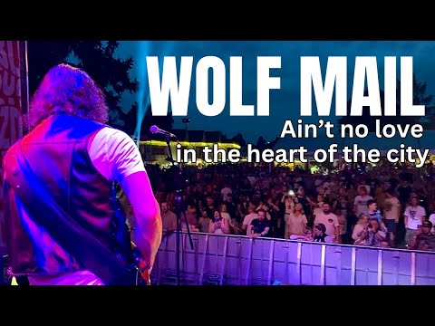 Wolf Mail | Ain't no love in the heart of the city