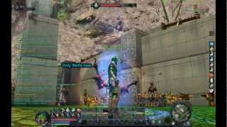 AION - Higher DMG Guide