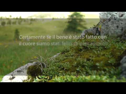 Meditazione del 26 Giugno 2017 “SERVIZIO BEN RICOMPENSATO”