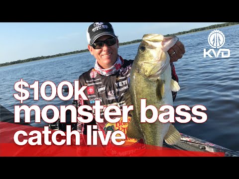 KVD's big bass win - Last pro tourney - LIVE highlight
