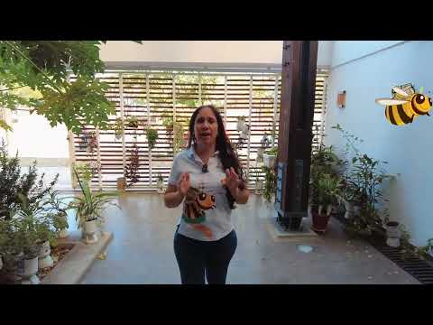 Miniatura video metodología del riesgo 1