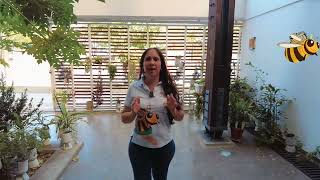 Video 1