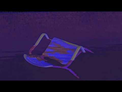 MONK & LONGUS MONGUS - POOL (Prod. by Themba) | BHZ