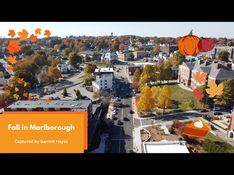 Fall in Marlborough 2024