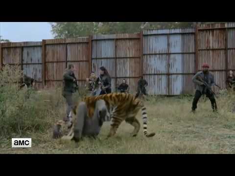 Tribute To Tigers( Shiva, Sher-Khan, Smilodon) Monster Skillet.