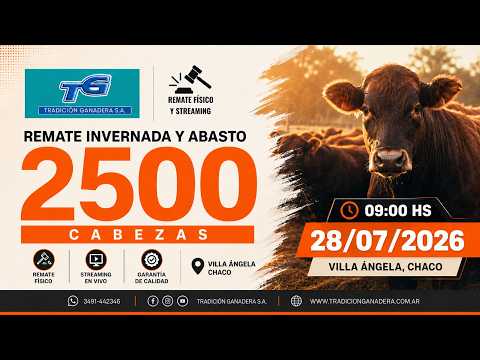 REMATE ABASTO E INVERNADA...TRADICION GANADERA SUCURSAL VILLA ANGELA