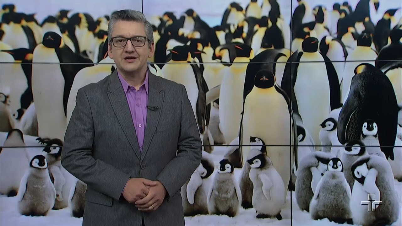 Matéria de Capa | Antártica | 10/06/2018