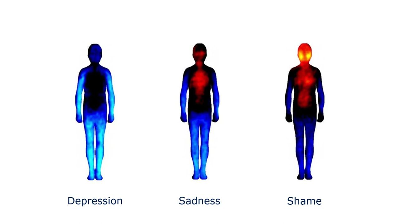 Mapping Emotions in the Body