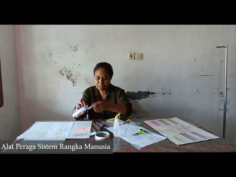 Alat Peraga Kerangka Tubuh Manusia Andolita Neonufa, S Pd