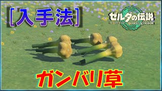 【ゼルダの伝説ティアキン】「ガンバリ草」をまとめて回収できる場所3か所