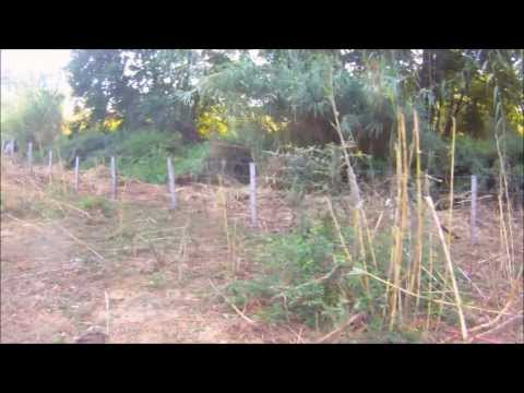 comment soigner point de suture