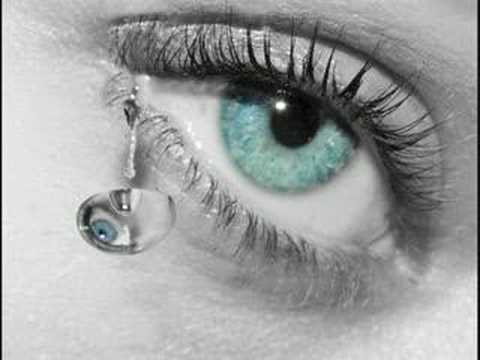 Die Coolen Säue  Es tut mir leid