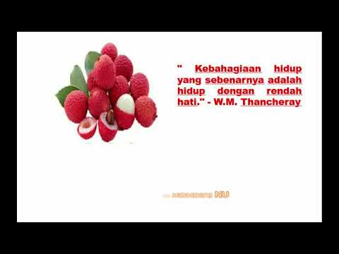 LONGOI RUNGUS : MISOMPURU TOKOU SOKOVIAI