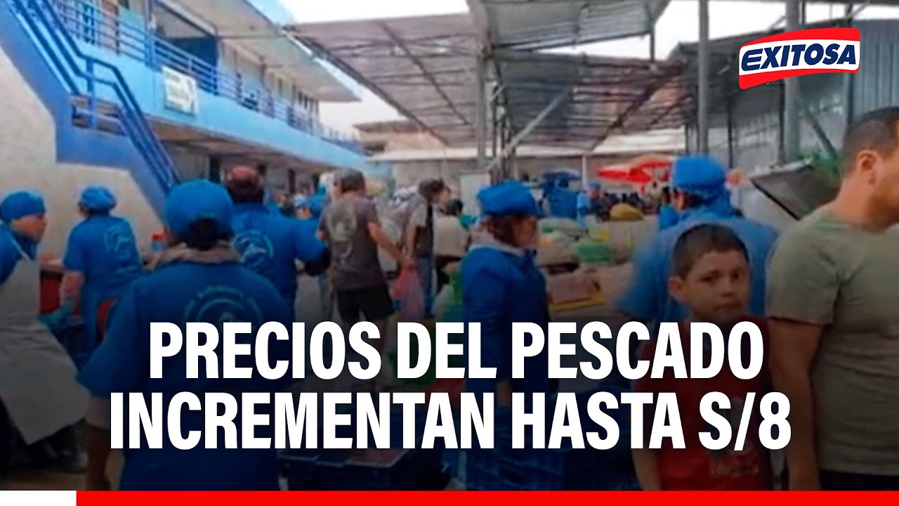 🔴🔵 Callao: Precios del pescado incrementan hasta S/8 en el terminal pesquero
