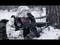 Finnish Military Girls The Heart of a Lion