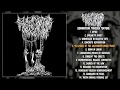 Basic Torture Procedure - Domination Through Torture FULL ALBUM (2020 - Goregrind)