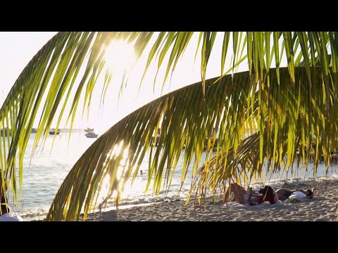 Martinique, coeur Caraïbes : ce soir à 20h50 sur France 5