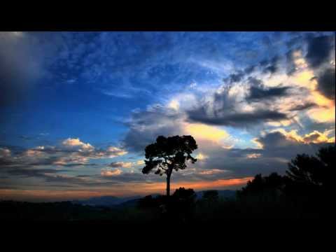 Tregtia mes Allahut dhe besimtarëve ! - Muhamed Luhejden