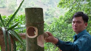 Build a bamboo house to raise white pheasants.  Robert |  Green forest life