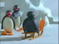 Pingu LOVE