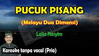 Download lagu Pucuk pisang karaoke melayu 2 dimensi nada pria mp3