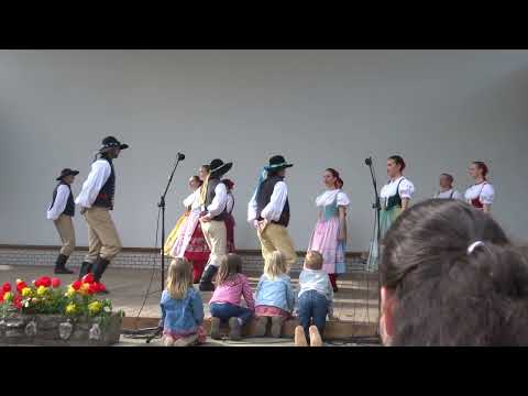 Folkl. soubor GAUDEAMUS VŠE - Jihočeská kola / SFF Tuchlovická pouť 2022, č.18/23