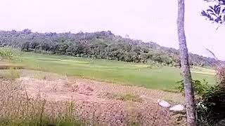 Download lagu New Sakha - Ibu Engkaulah Wanita ( Video Clip ) mp3 Download lagu New Sakha - Ibu Engkaulah Wanita ( Video Clip ) mp3