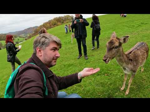 Jelenov Greben, Podčetrtek, Slovenia | 4K