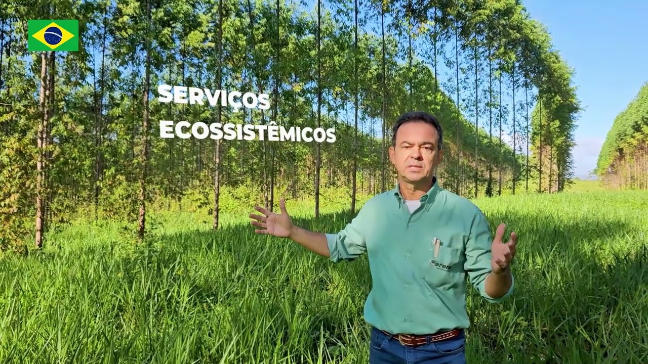 Sistemas Integrados um bom caminho – ILPF