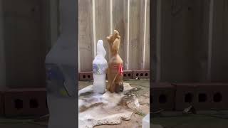 Download lagu Coca Cola fanta sprite pepsi vs mantis mp3