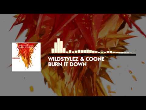 Wildstylez & Coone - Burn it Down