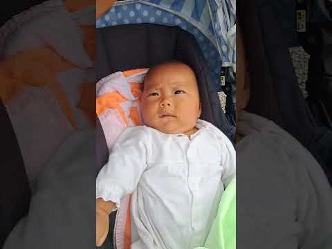 protection bassin de jardin –filet-sécurité-poissons-ornement-plantes-aquatiques