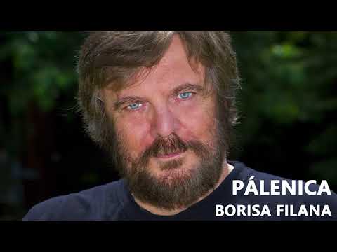 Pálenica Borisa Filana - Letisko