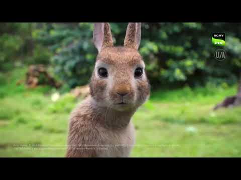 Peter Rabbit