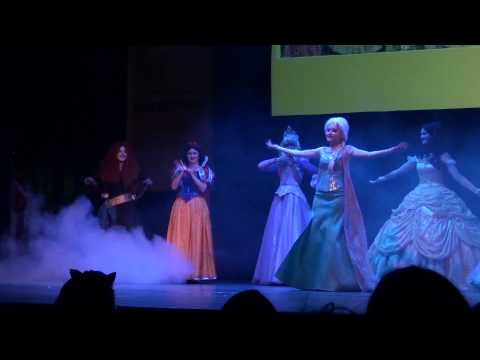 Animatrix 2014 "Disney Parks", Pixar - "Толпа Диснеевских принцесс" - Сборная Диснея