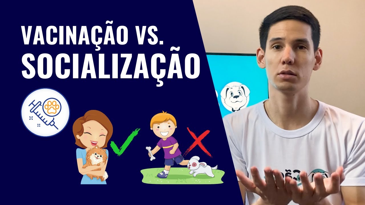 PODE PASSEAR COM FILHOTE ANTES DAS VACINAS?