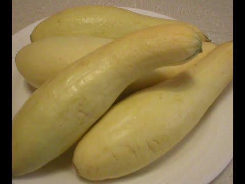 Yellow Squash 101 - Food and Flavor Combos Using Yellow Squash