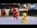 Amazing Kung Fu demonstration