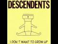 Descendents:  Can't Go Back