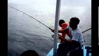 preview picture of video 'Fishing Trip Binuangeun - Green JobFish (Kurisi Hijau)'