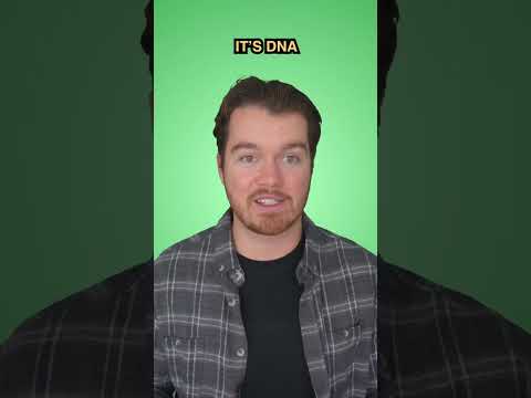 Jurassic Park is REAL?! #technology #dinosaur #ai #crispr