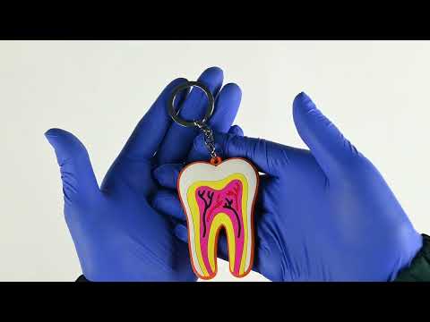 IDENTical Tooth Anatomy Keychain - Multicolor (3027)